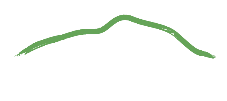 Logo DUENOVESEI